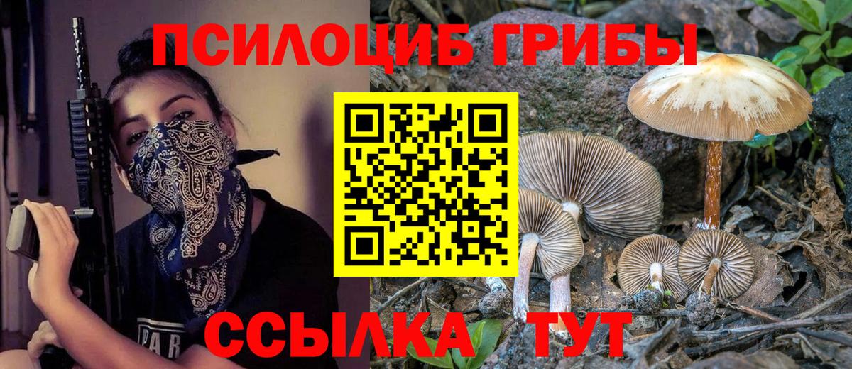 Люберцы  Псилоцибиновые грибы Cubensis  Вход с VPN 